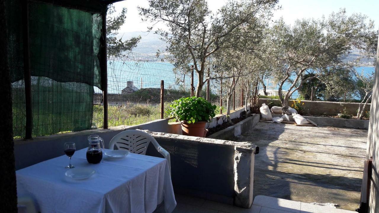 Apartment Ante Trogir