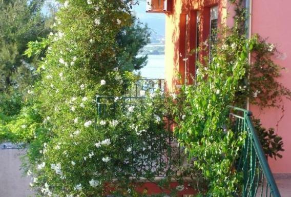 Ante Apartment